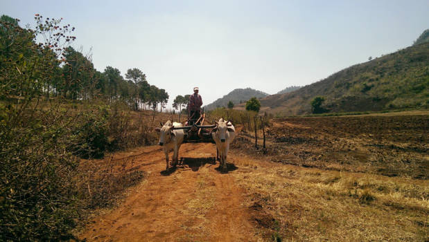 Myanmar - Terug in de tijd