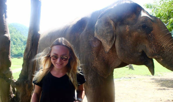 Bangkok - Elephants never forget.