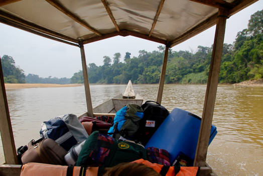 Taman Negara National Park - Op weg naar Kuala Tahan, in het Taman Negara National Park