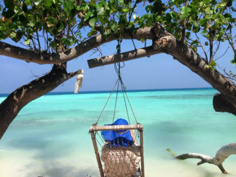 Malediven - Little paradise on earth!