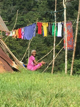 Maleisië - Cameron highlands