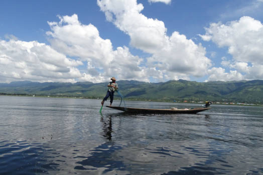 Myanmar - Beenroeier Inle Lake