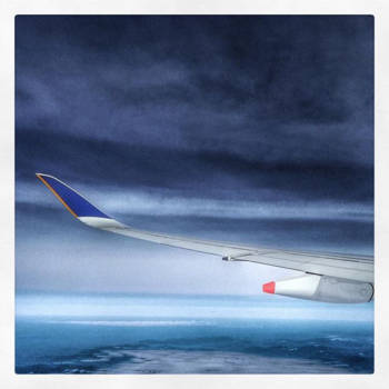 Singapore Zoo - Wing SingaporeAirlines