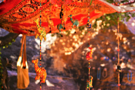 Jordanië - The colours of Jordan