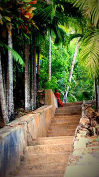 Sri Lanka - Ayubowan, welcome to Lovely Lanka!