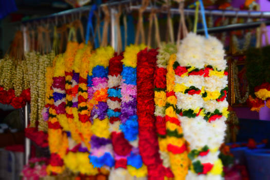 Singapore - één en al traditie in Azië