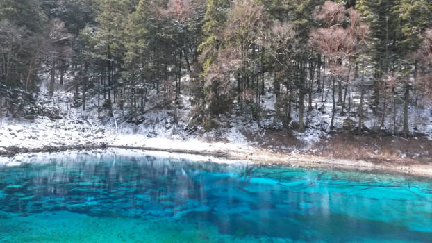 China - Multi-color Lake in Jiuzhaigou, Sichuan (China)