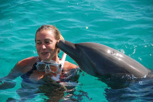 Zwemmen met dolfijnen - Kusje van mijn jeugdliefde Flipper