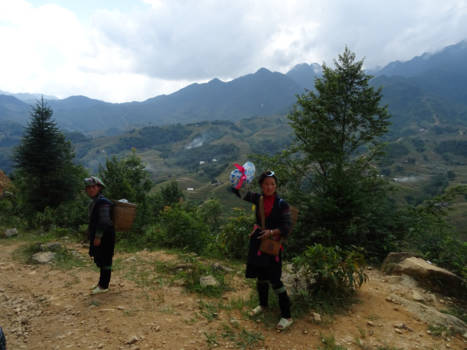 Sapa - De H'mong