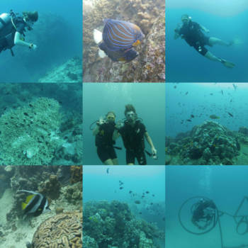 Koh Tao - Duiken op koh tao