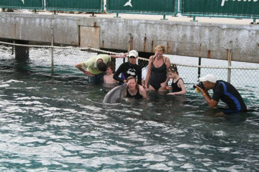 Zwemmen met dolfijnen