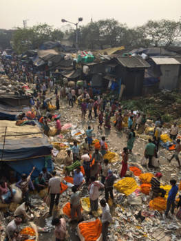 Calcutta (Kolkata) - Flower market