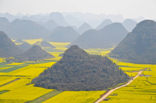 China - koolzaad in Luoping