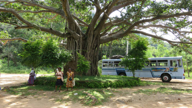 Sri Lanka - Sri Lanka zo mooi zo puur