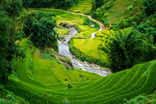 Sapa - Green Paradise Sapa