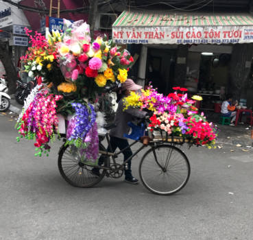 Hanoi - Kleurrijke bloemen