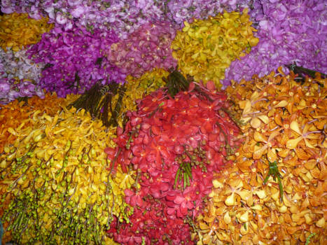 Thailand - bloemenmarkt in Bangkok