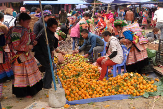 Vietnam - Kleurige drukte op de Bac Ha markt
