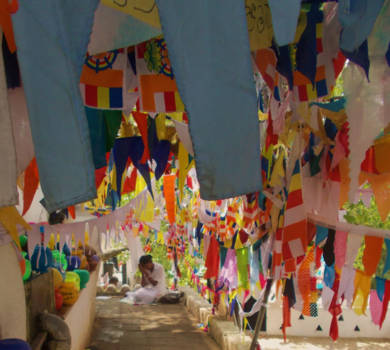 Kandy - Kleur doet leven