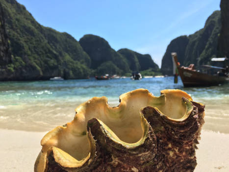 Vietnam - Koh Phi Phi