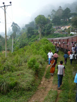Sri Lanka - Met de trein tussen de lokale bevolking de natuur ontdekken