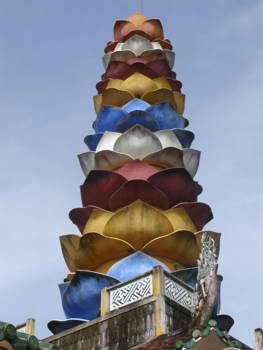 Vietnam - Kleurrijke lotus