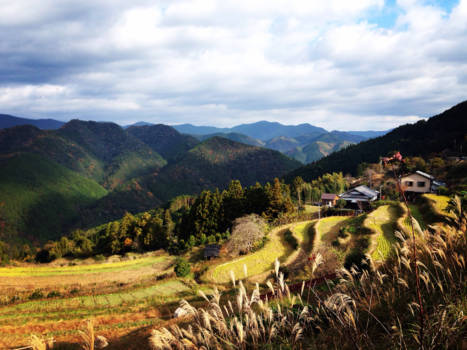 Japan - Japan's Kumano Kodo pelgrimage hike in Wakayama