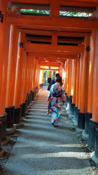 Kyoto - Geisha's in Kyoto