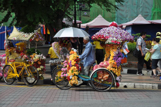 Malakka - Hadden wij maar zulke vrolijke fietsen in Nederland
