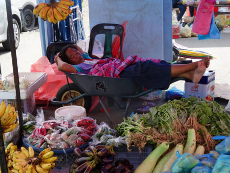 Sandakan - Droombaantje