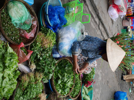 Hoi An - Hoi An Herbs