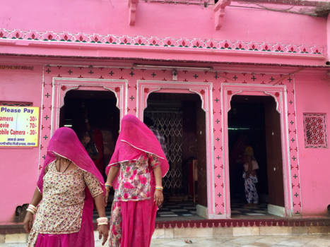 India - Bij de Rattentempel