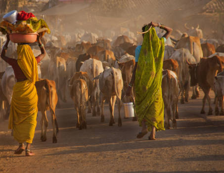 India - Chhatisgarth