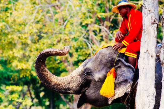 Thailand - De medewerker en De baas