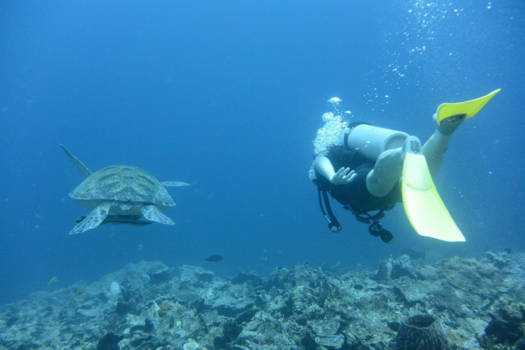 Filipijnen - Under the sea