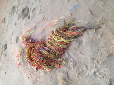 Koh Samui - Life is colorful but for sealife disastrous