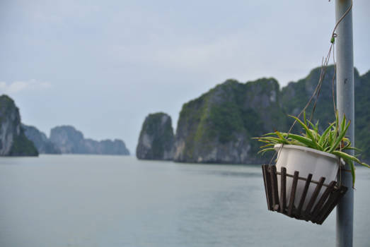 Halong Bay - Halong Bay