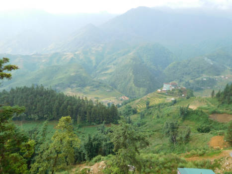 Sapa