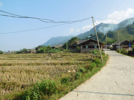 Sapa
