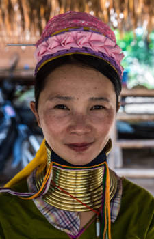 Chiang Rai - Beautiful woman with brass coils from the Karen Long Neck Village.