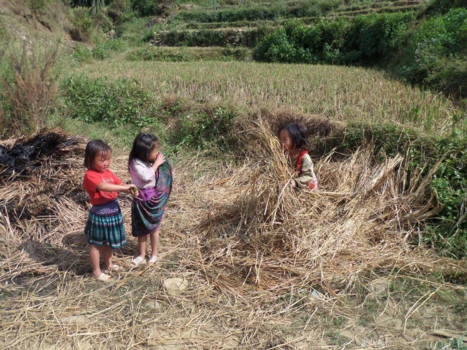 Sapa - Magical Happiness - while they have nothing, they have everything you need: happiness