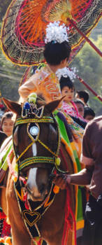 Myanmar - Spread the colours!