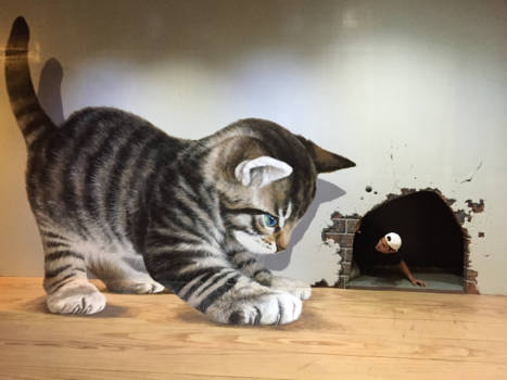 Thailand - 3D museum Chiang Mai