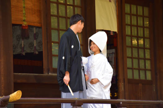 Japan - Love is..................