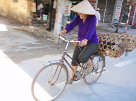 Ninh Binh - Schaterende lach van Vietnamese vrouw op de fiets met kippen achterop.