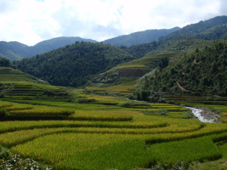 Vietnam - Sapa omgeving