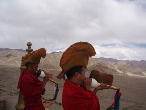 India - Monikken in Ladakh