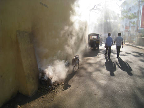 India - n Goede morgen in Kerala