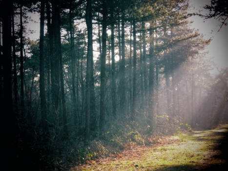 Rusland - Russisch Siberië