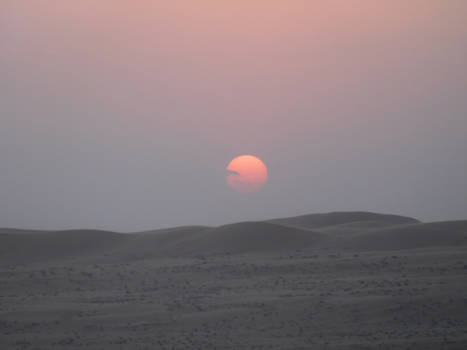 Oman - wahiba sands